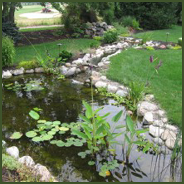 Custom Pond
