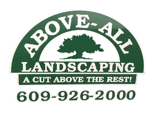 Above All Landscaping, LLC., Logo